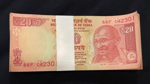 ₹20 Rupee Note Bundle