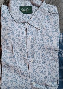 Men Colorplus Brand Shirt