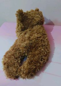 Teddy 🧸