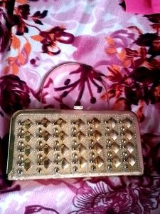 Extremely Luxurious Gold Pouches And Potlis