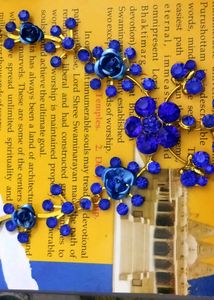 Blue Earrings Necklaces