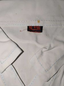 Light Blue Short Sleeve Button Down