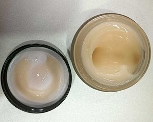 WildOak Under Eye Power Gel