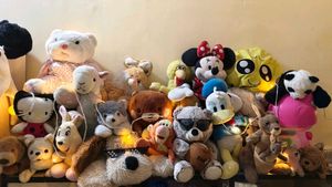 Plush Toy Collection/ Bundle