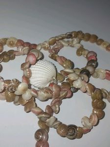 Seashell Necklace