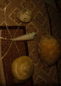 Shells
