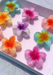 Claw Clips