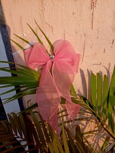 Hair Bow Clip