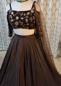 Brown Embroidered Lehenga Choli