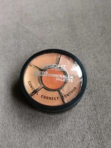 Insight Pro Concealer Palatte