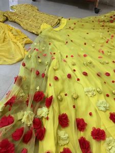Haldi Photoshoot Double Flare Designer Skirt Only