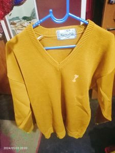 Mans Sweater