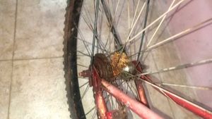 Cycle
