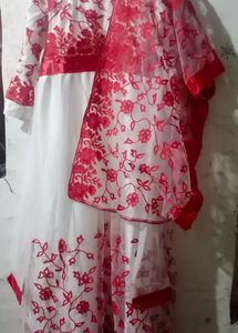 Net Gown With Red Embroidery + Dupata