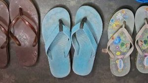 Assorted Flip Flops - Casual Comfort