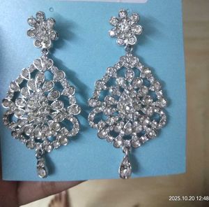 Sparkling Silver Earrings