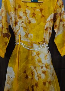 Beautiful Organza Gown