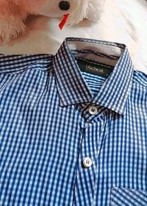 Striped Button-Down Shirt