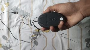 Computer Mouse