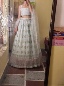 New Pista Color Lehenga Choli Set