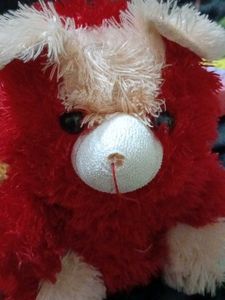 Red Plush Teddy Bear