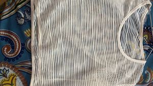 Sheer Striped Crop Top