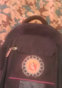 School Bag..Rs.100