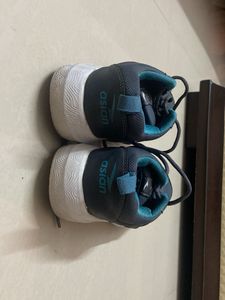 Asian Sport Shoes