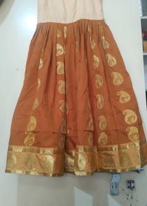 Elegant Paisley Gold Border Ethnic Gown