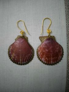 Beautiful Pink Shell Earrings For Women