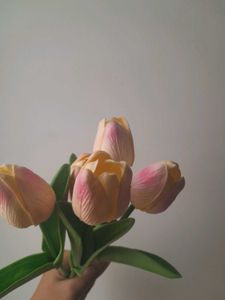 Combo 5 Faux Tulips