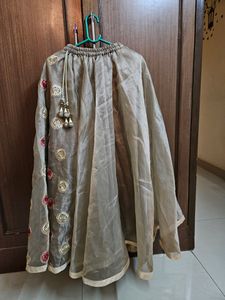 Pink And Brown Lehenga
