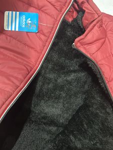 4xl Maroon Red Jacket