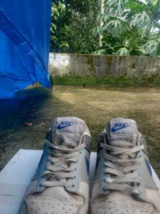 Nike Dunk SB Low Matte Silver