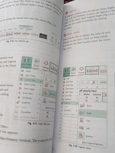 IT Hub Class 8th Computer Science Book