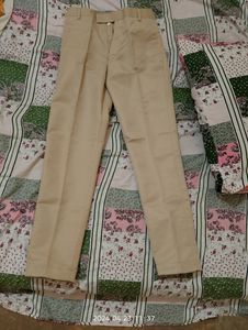 Formal Beige Colour Pant