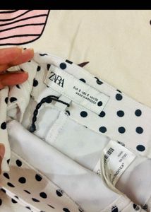 Zara Skirt