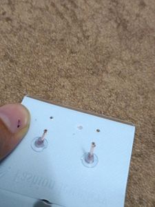 🛟 Flash Sale 🛟Stud Earrings
