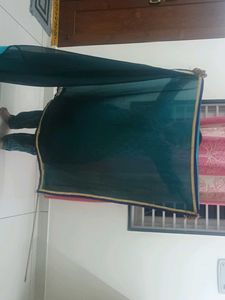 Elegant Teal and Gold Trim Saree