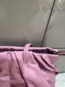 Baggit Handbag
