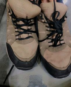 HIGHLY AFFORDABLE SREE LEATHER PREMIUM SHOES