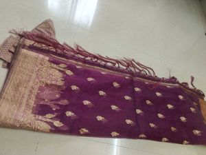 Soft Organza Saree