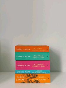 Court Of Wings And Ruins Book