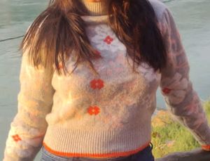Woollen Crop Sweater