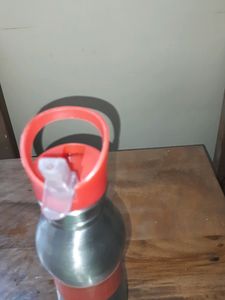Steel Bottle/ Sipper