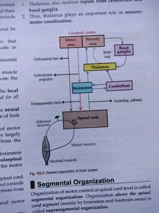 GK Pal Medical Physiology Latest Edition Textbook