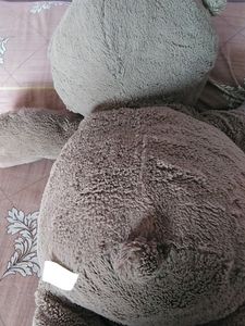 Big Broun Teddy