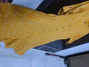 Kurti Pallazo Set