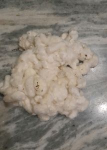 Organic Cotton