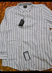 Turtle Striped Shirt
